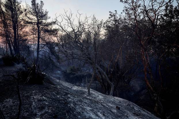 Wildfire in Kryoneri near Athens