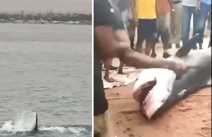 Morski pas raskomadao mladića pred očevim očima: 'Taj stroj za mljevenje mesa mi je ubio sina'