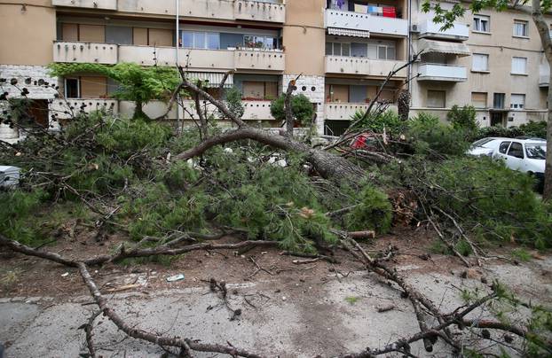 Split: Dva stabla pala na parkirana vozila u Gajevoj ulici