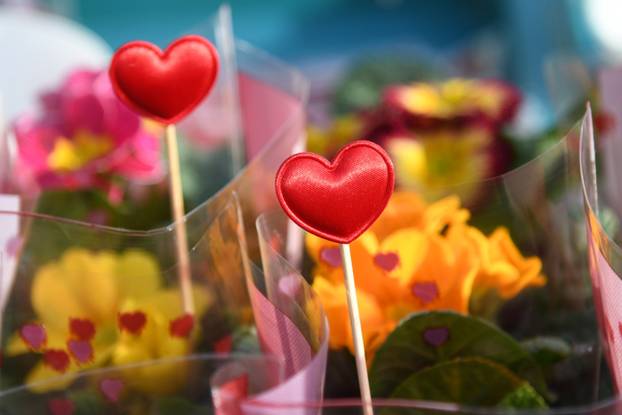 Valentinovo u Bjelovaru