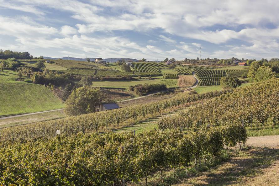 Destinacijska preporuka pokraj Zagreba: Zelinska vinska cesta i Muzej Sv. Ivan Zelina