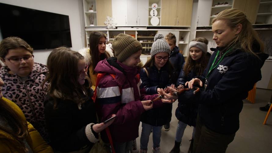 Božićno iznenađenje: Učenici iz Slavonije prvi put u Zoološkom