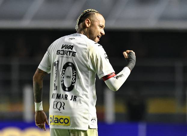 Brasileiro Championship - Santos v Flamengo