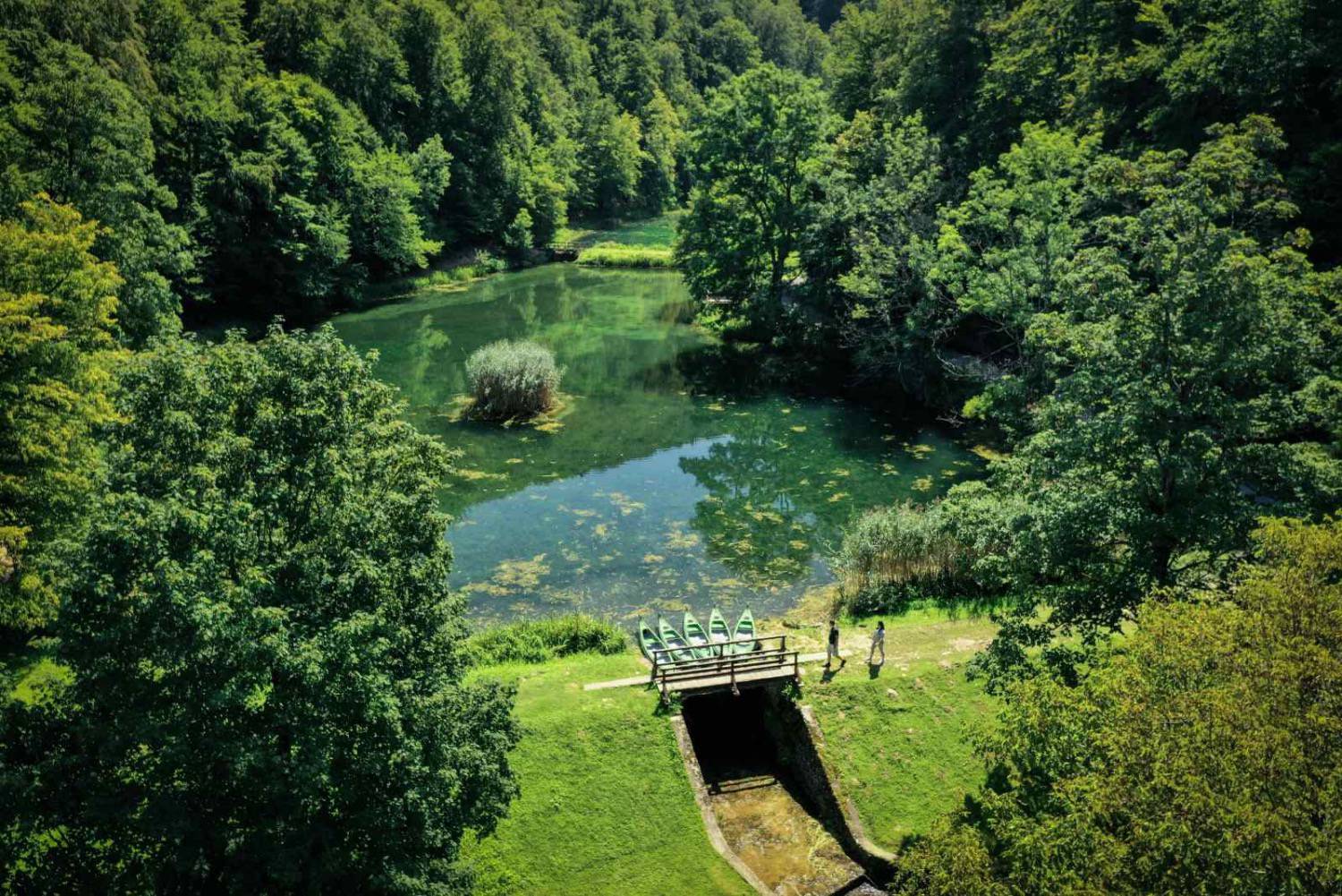 Upoznajte Park šumu Jankovac - očaravajuću oazu u srcu Papuka