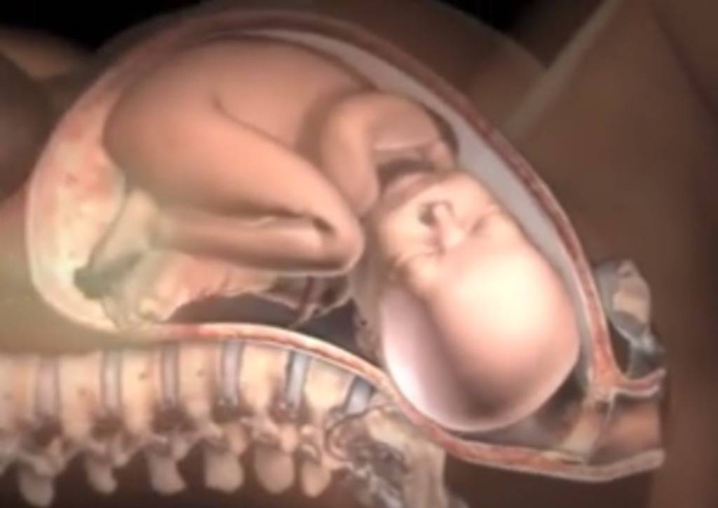 Screenshot/Pregnancy Videos