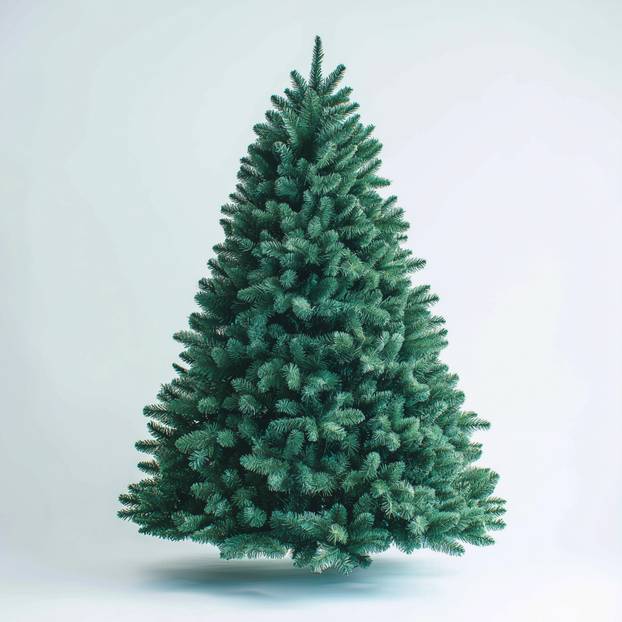 Green fir christmas tree on light background