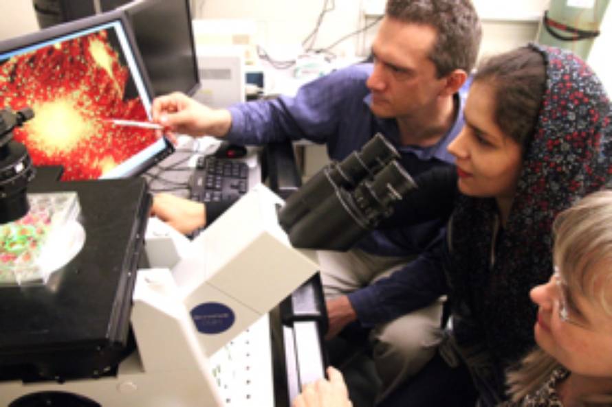 University of Cincinnati