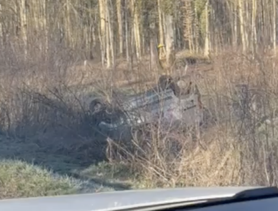 VIDEO Auto kod Siska sletio na krov u šumu: 'Prizor je bio malo zastrašujuć, bila je policija'