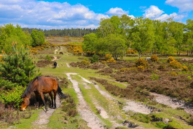 FOTO Top 30 najljepših mjesta na svijetu za 2026.: Pogledajte koji hrvatski biser je na popisu