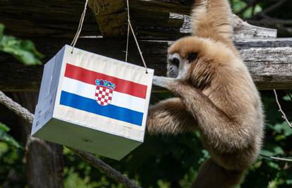 Kent, majstor za kladu: Pogodio je da prolazimo Škote, ali i da ćemo izgubiti finale od Francuza