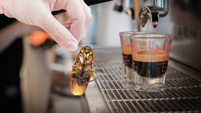 Jutarnja šalica kave vjerojatno sadrži i samljevene žohare...