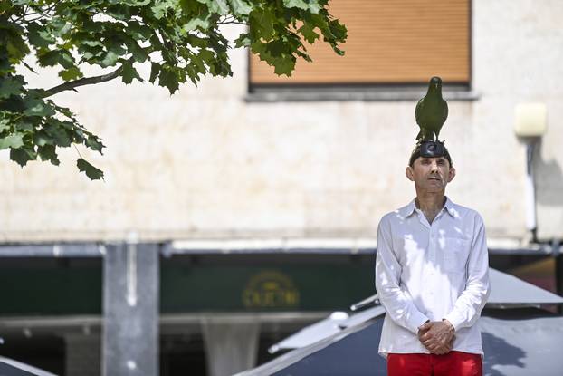 Zagreb: Noć Performansa - Siniša Labrović  - A monument to the pigeon na Cvjetnom trgu