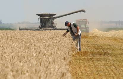 Kako su lopovi uspjeli ukrasti 35 tona pšenice u Slavoniji? 'To je hrabar potez, treba to i prodati'