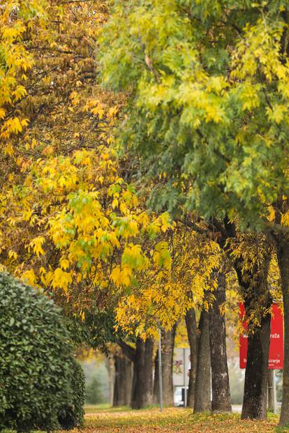 Zagreb: Sve nijanse jesenskih boja u gradskim parkovima