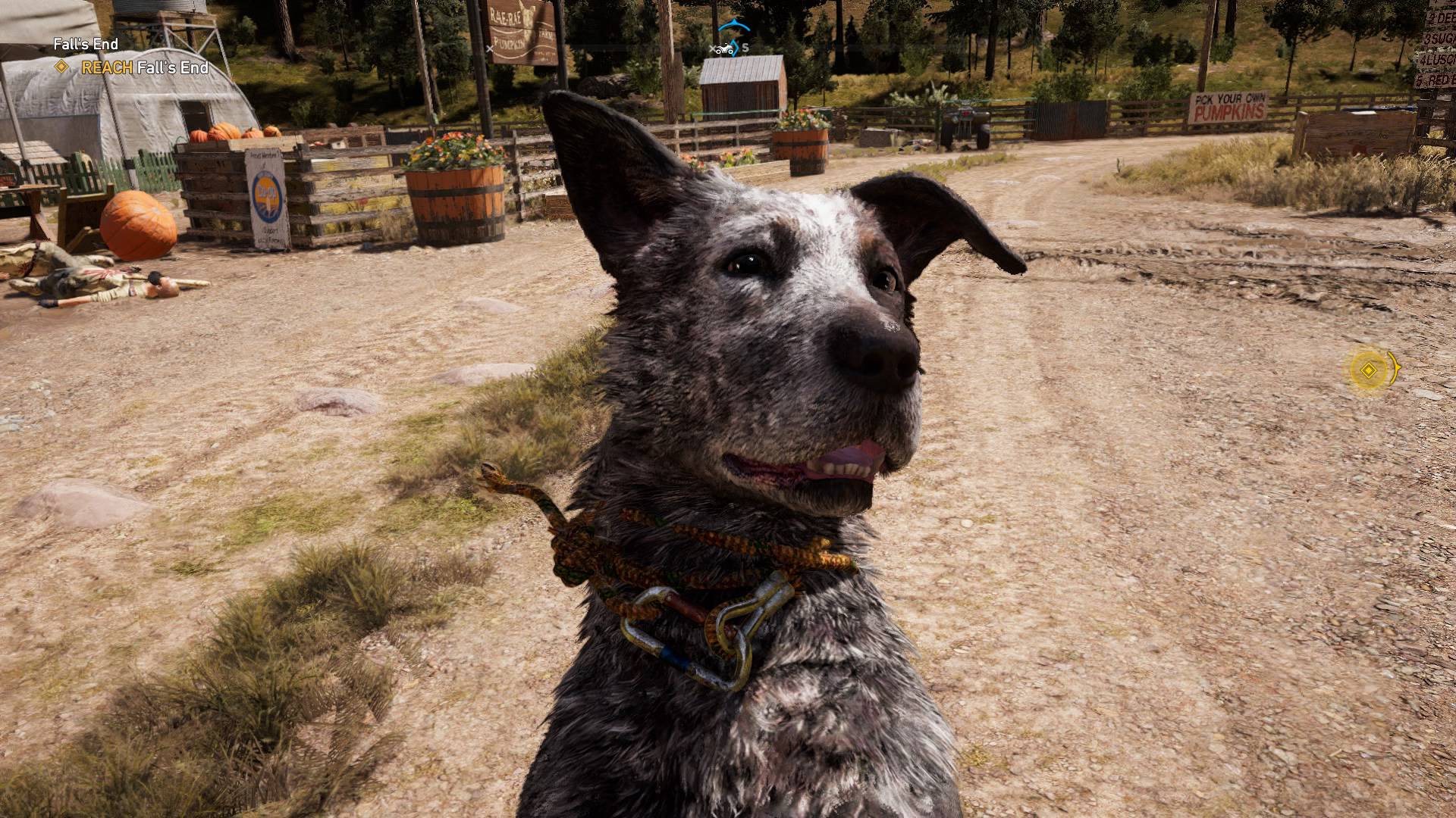 Far Cry 5 skriva niz trikova za uspjeh, želi da uživate  u prirodi