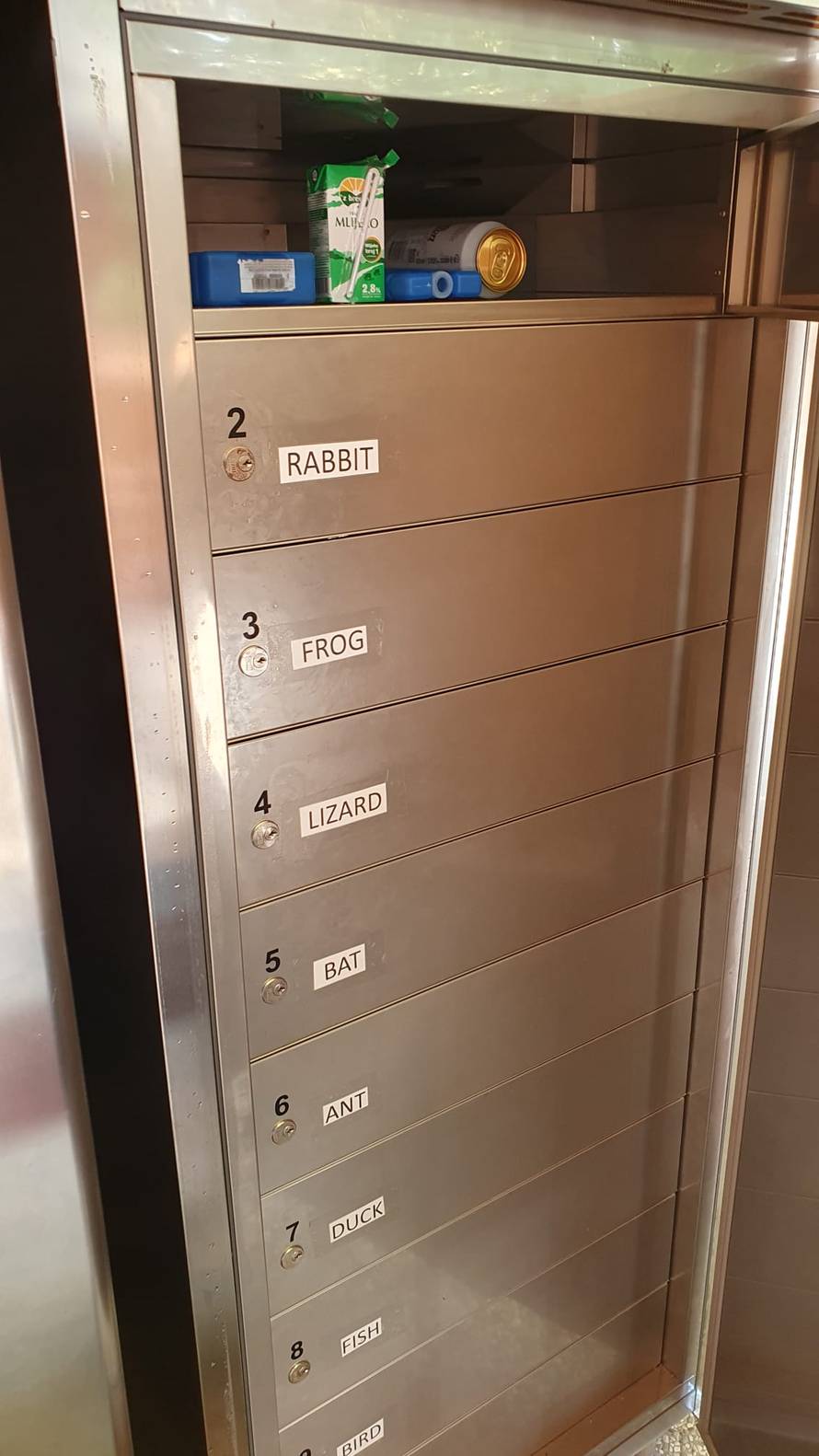 Bijeg u zeleno srce Slovenije: Proveli smo vikend u drvenoj kolibi u kampu tik uz Savinju