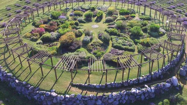 Šetnja kroz 'Labirint lavande' je čarobno putovanje kroz mirise