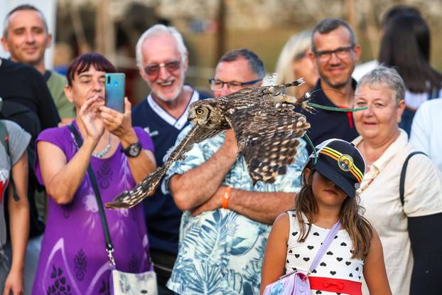 Otvoren je  13. Srednjovjekovni festival u Svetvinčentu