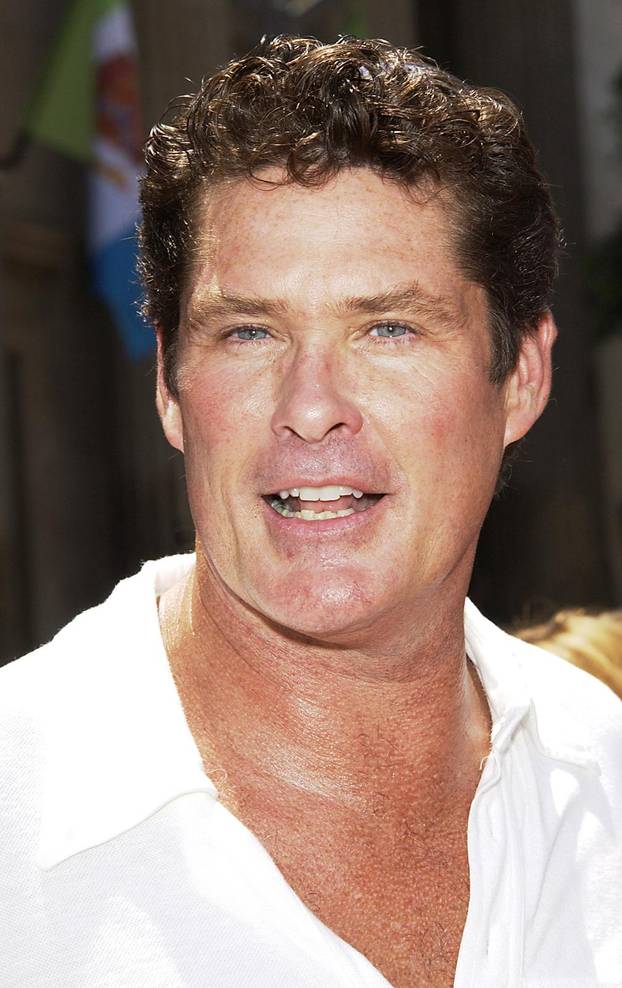 Baltimore: 17.07.1952., ro?en glumac David Hasselhoff