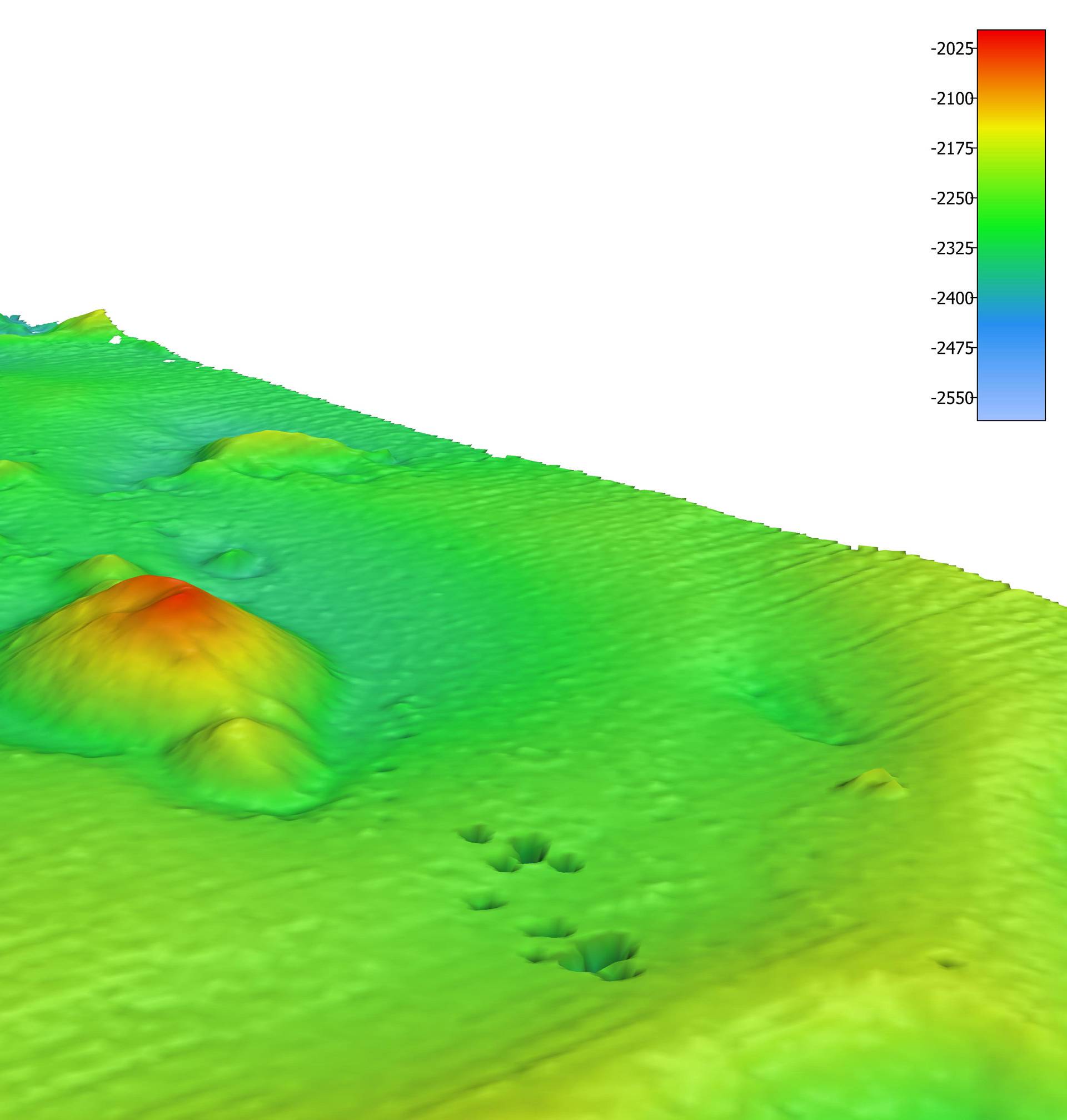 An image of the ocean floor is seen in this graphic received via Henry Gilliver of the Nippon Foundation - GEBCO Seabed 2030 Project, in London