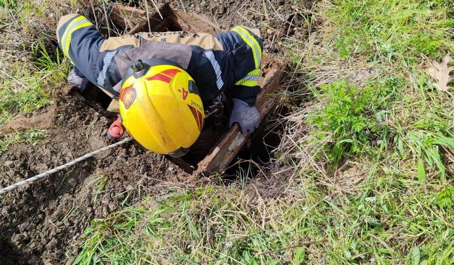 Zagrebački vatrogasci uz brojne intervencije spašavali i psa