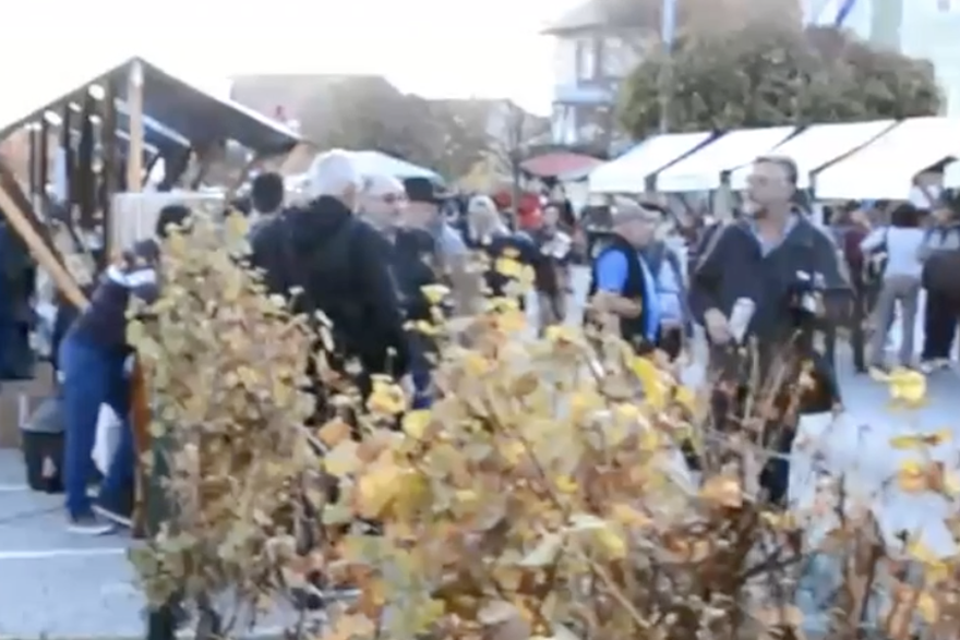 Zanimljivosti o Martinju i vinu: Zašto ga slavimo, tko je Sveti Martin, koje su blagodati vina