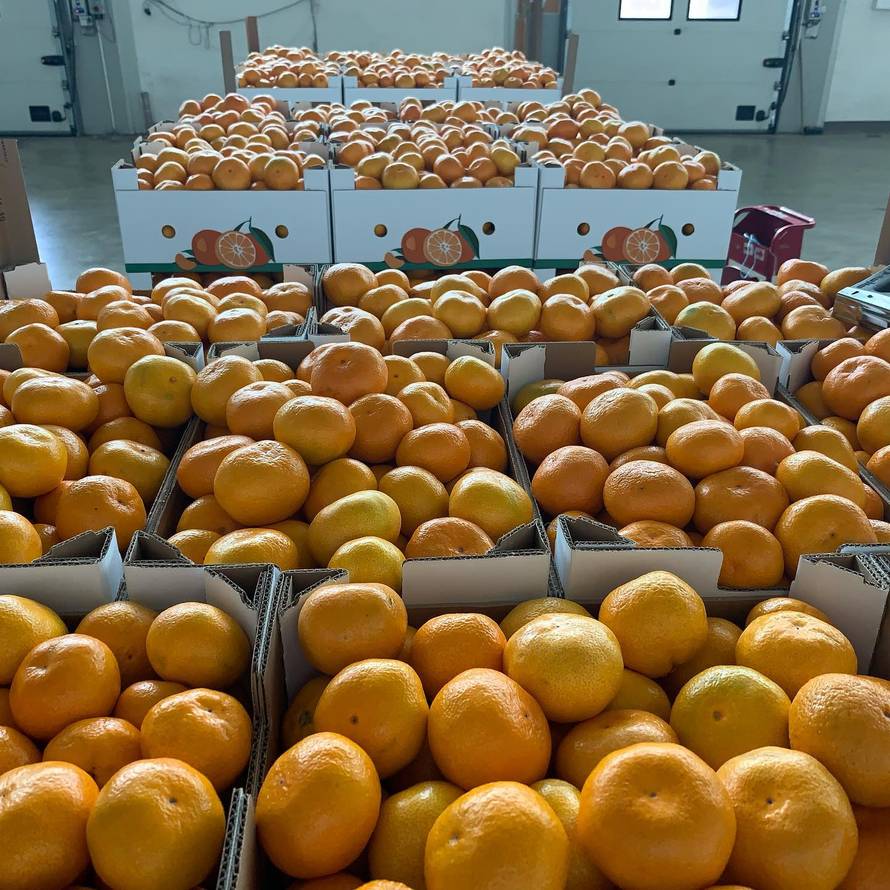 Otkupio sedam tona mandarina i sve ih donirao ustanovama po Hrvatskoj koje skrbe o djeci