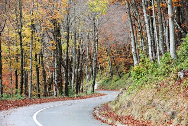 Delnice: Boje jeseni u Gorskom kotaru