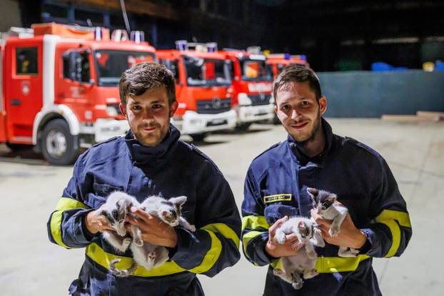 Vrgorac: Vatrogasci spasili 4 mačiča iz šahta gdje su ih pronašli ostavljene