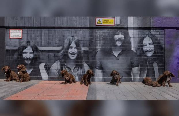 FOTO Ovo je preslatki policijski pas Ozzy, nazvan po Osbourneu. Birmingham oplakuje legendu