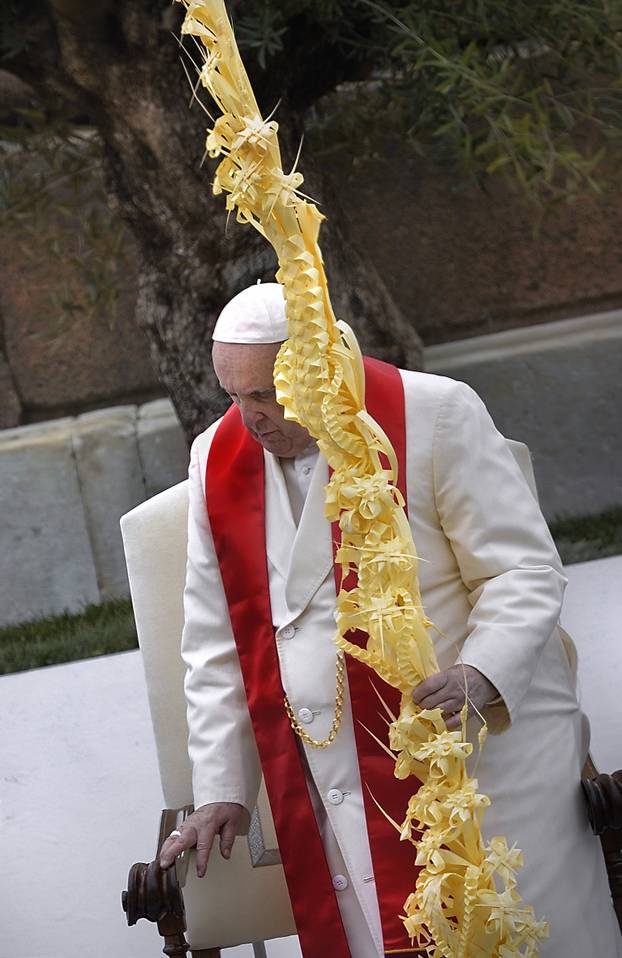 Pope Francis celebrates the Palm Sunday mass