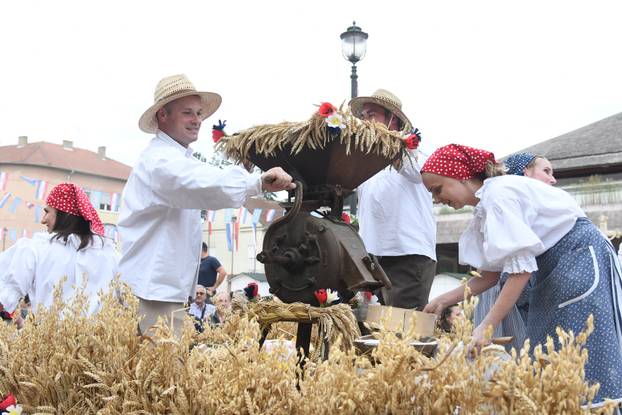 Daruvar: Obilježen je Dožinky, najveća kulturna manifestacija češke manjine u Hrvatskoj
