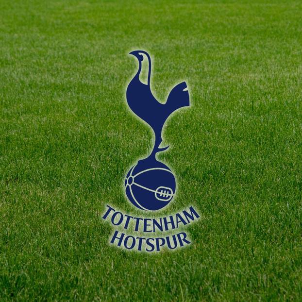 FOTO Još jedan velikan odlučio se za promjenu na grbu. Da je primijetite, morate se potruditi