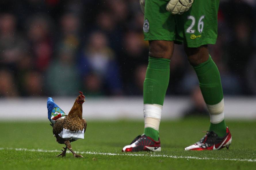Soccer - Barclays Premier League - Blackburn Rovers v Wigan Athletic - Ewood Park