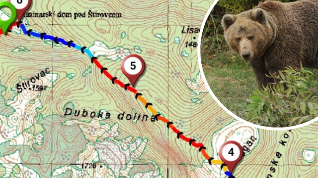 Drama na južnom Velebitu: Dvoje planinara je naišlo na medvjeda, u bijegu se izgubili