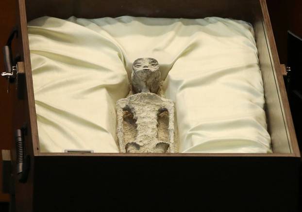 Remains of allegedly 'non-human' beings presented in Mexico