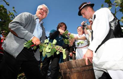 Josipović poveo diplomate u berbu grožđa na Plešivici