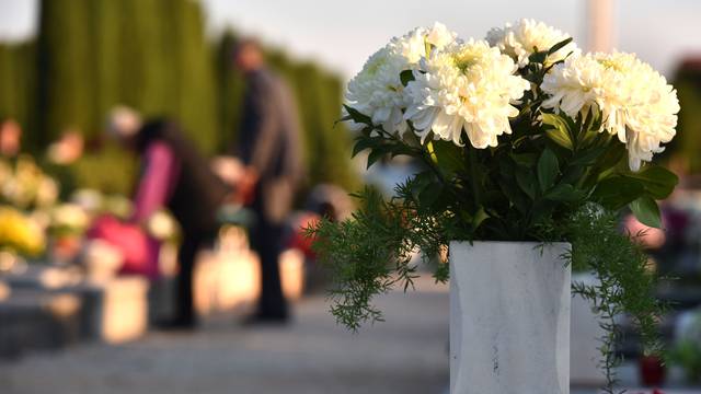 Uoči blagdana Svih svetih uvoz cvijeća skoči za čak četiri puta