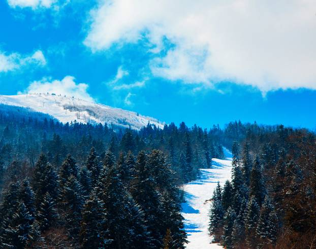 ski slope. Bjelasnica. Bosnia and herzegovina
