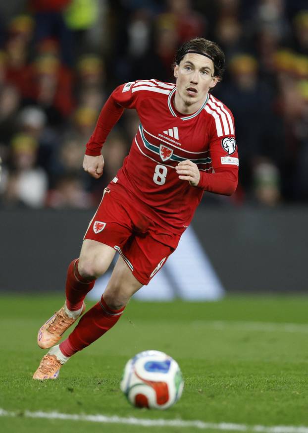 FIFA World Cup - UEFA Qualifiers - Semi Final - Wales v Bosnia and Herzegovina