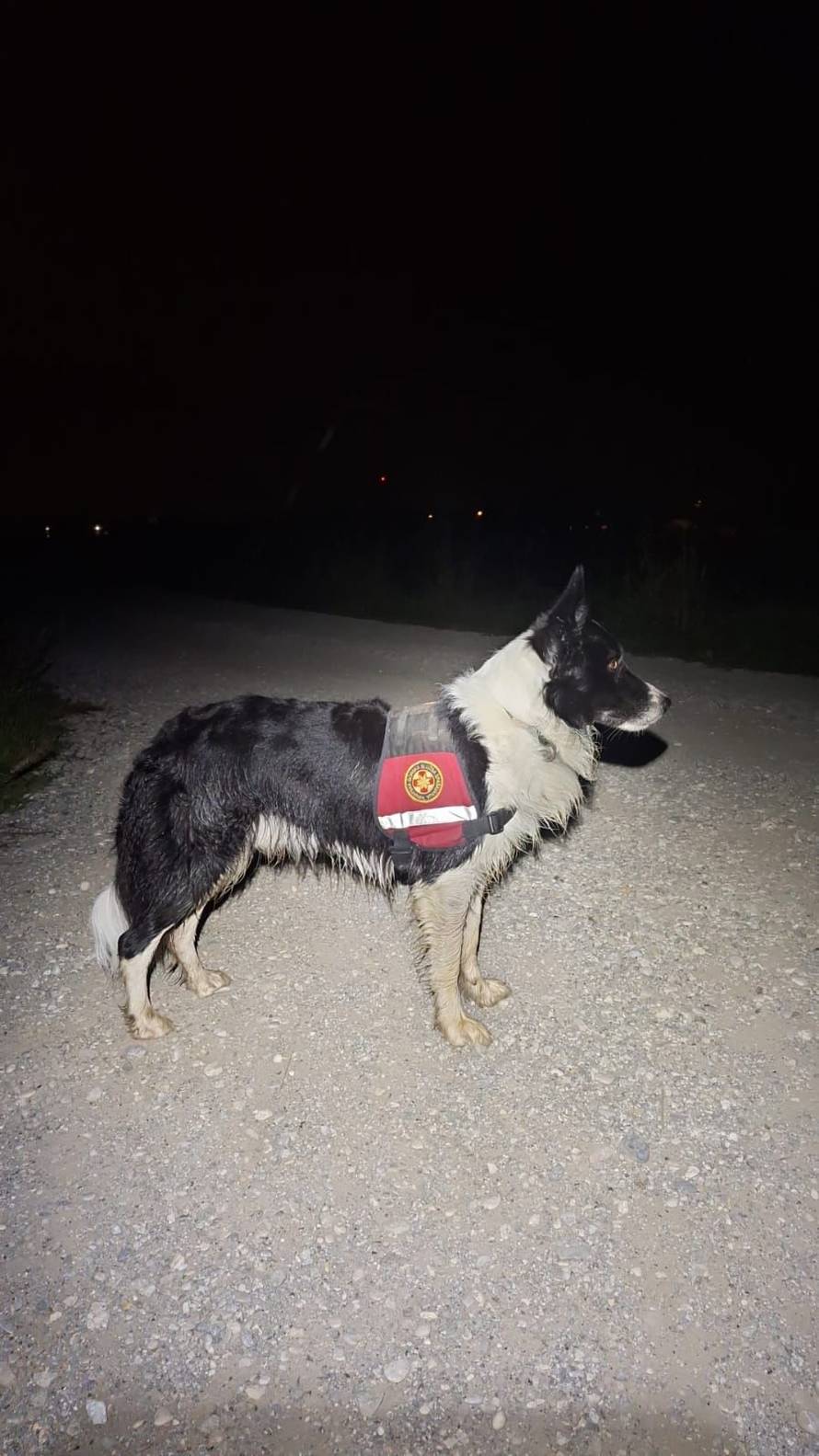 AI, sokole moj, đe me odvede?: Crnogorac se zbog 'savjeta' ChatGPT-a izgubio na Sljemenu!