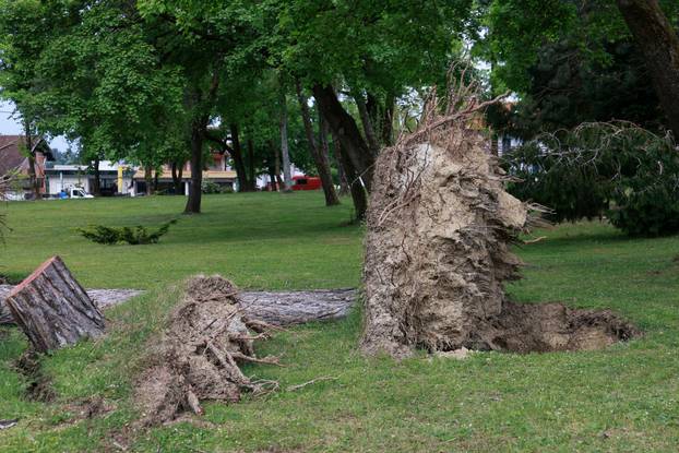 U oluji porušena stabla na Mirogoju napravila su veliku štetu