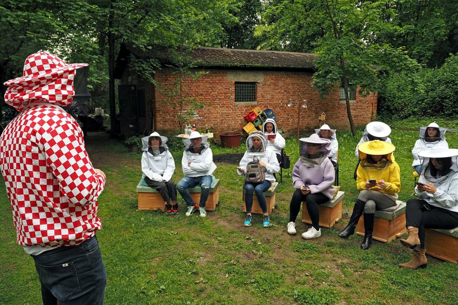 Od otrova mojih pčela radim kreme protiv bora i bolova