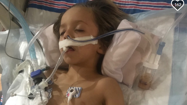 Dječaka ogrebao šišmiš, nakon tjedan dana preminuo u bolnici