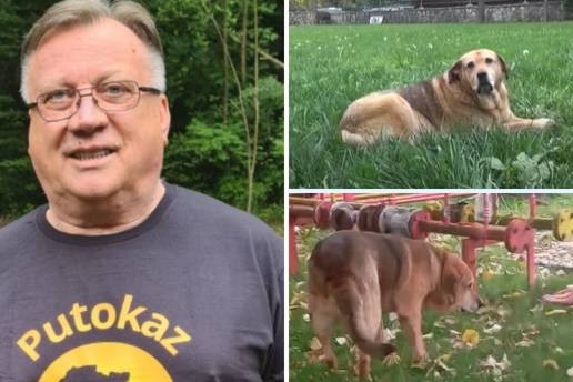 VIDEO Nakon sprovoda Halidov pas ima tužne oči i odbija jesti: Prolaznici su mu nudili hranu