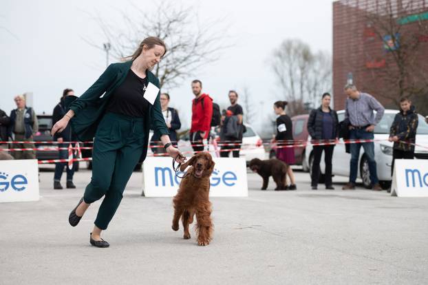 U Zaprešiću održana CAC nacionalna izložba pasa