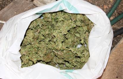 Policija je u kući kod Omiša pronašla šest kila marihuane