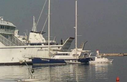 Hrvatska čigra zakačila se sajlom za trajekt u Zadru
