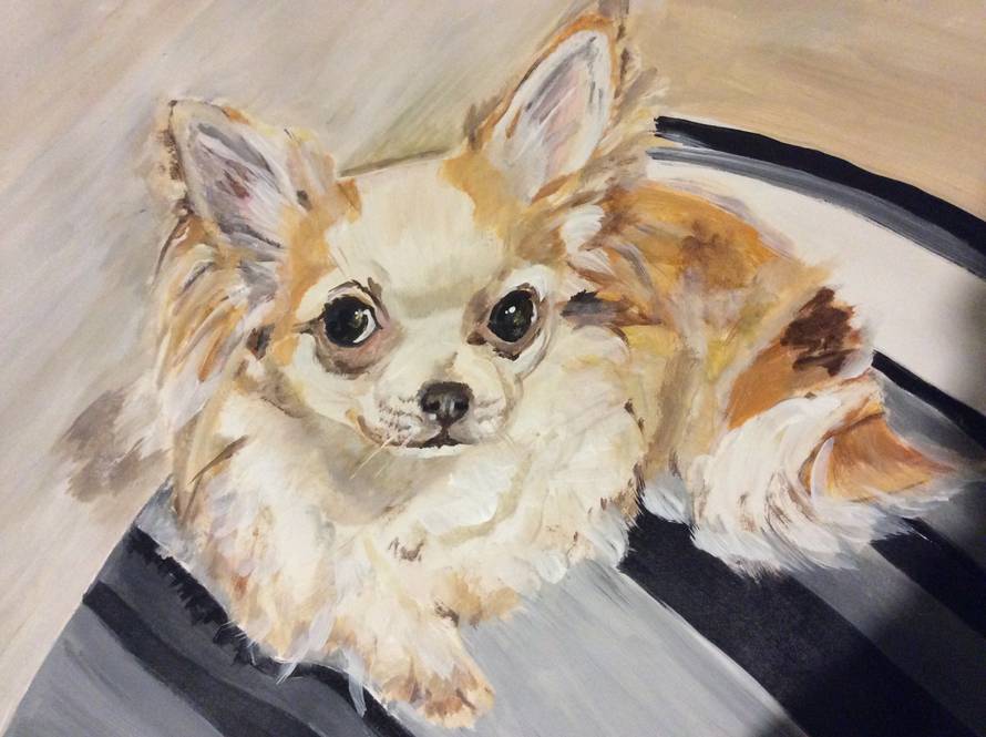 Talentirani dječak mijenja svoje slike da pomogne psima u azilu