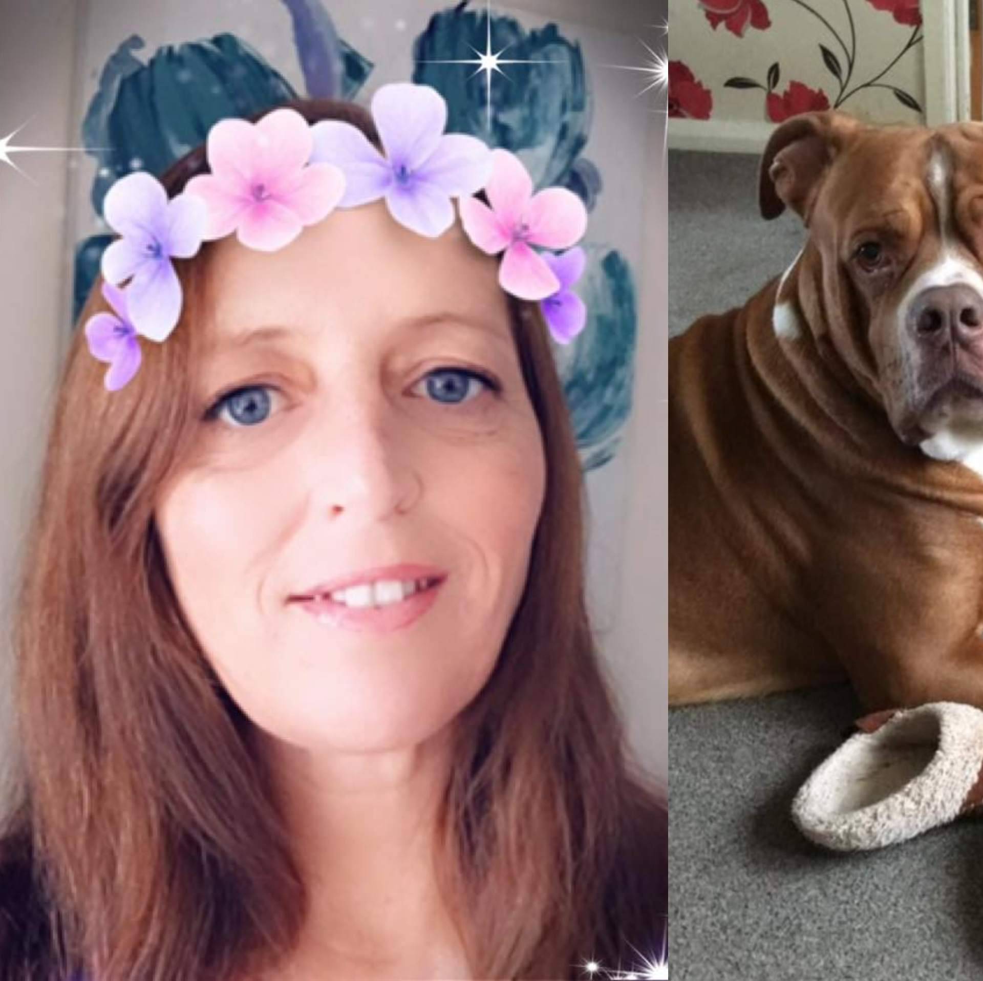 Majku troje djece u svom domu ubili njeni psi: 'Rastrgali su je!'